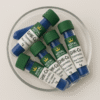 Cosmetic GHK-Cu (Copper Peptide) – 99% Purity | 1g